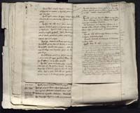 1_335_0_0_313-12_0200