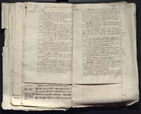 1_335_0_0_313-12_0202