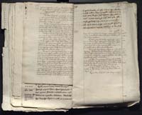 1_335_0_0_313-12_0203