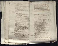 1_335_0_0_313-12_0207