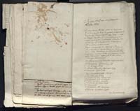 1_335_0_0_313-12_0211