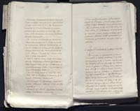 1_335_0_0_313-12_0236