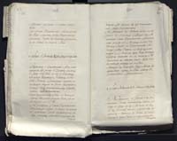 1_335_0_0_313-12_0241