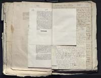 1_335_0_0_313-12_0274