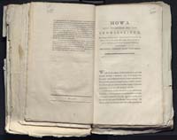 1_335_0_0_313-12_0289