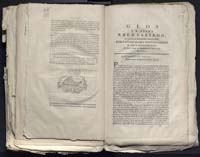 1_335_0_0_313-12_0339