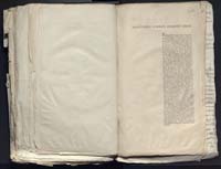 1_335_0_0_313-12_0366