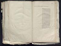 1_335_0_0_313-12_0370