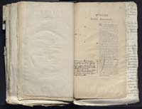 1_335_0_0_313-12_0377