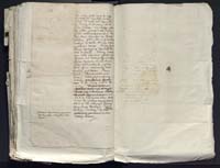 1_335_0_0_313-12_0384