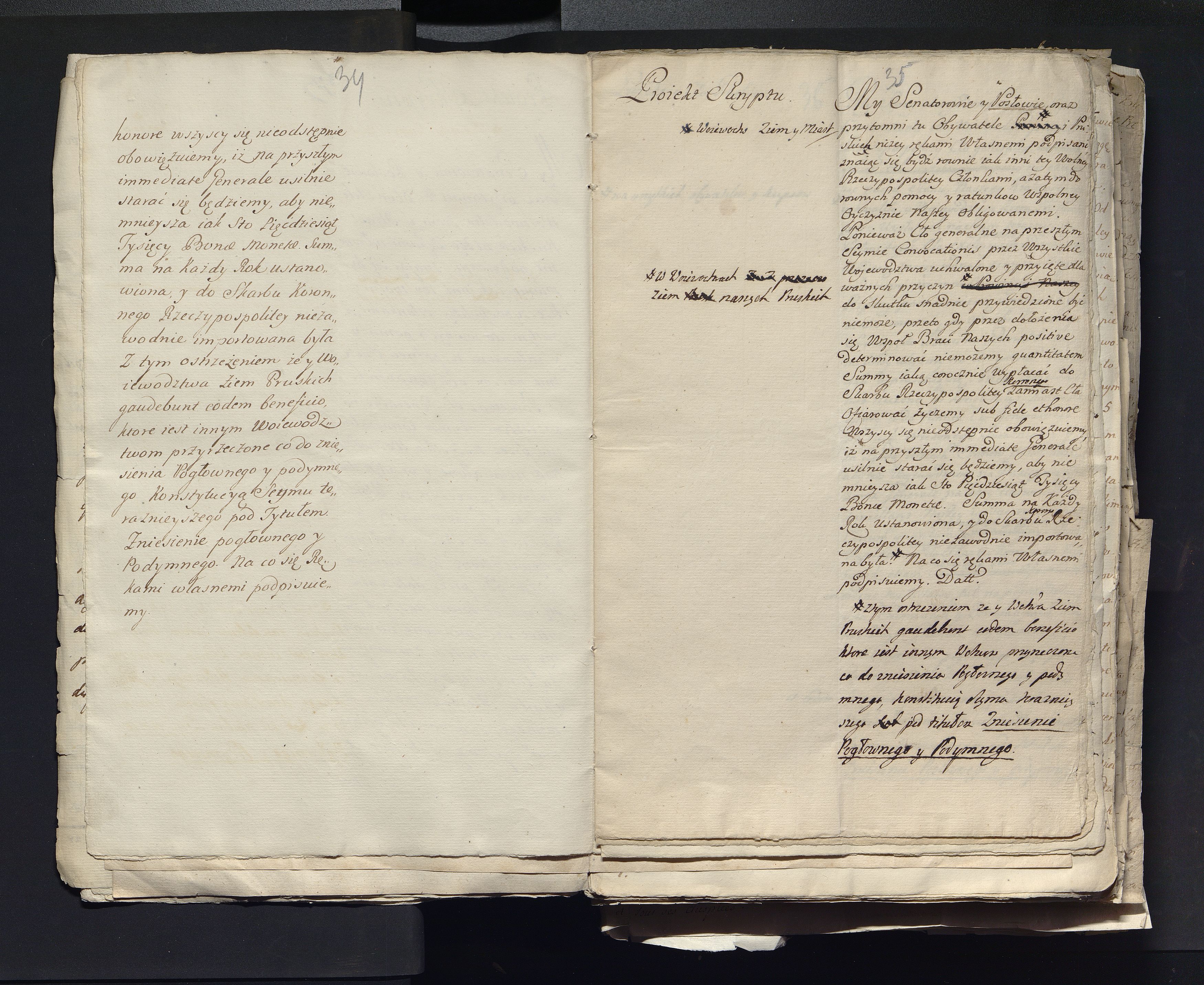 1_335_0_0_313-2_0019