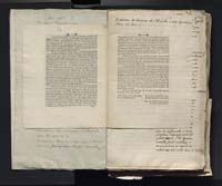 1_335_0_0_313-2_0008