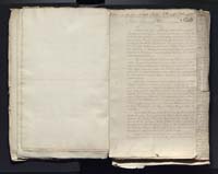 1_335_0_0_313-2_0081