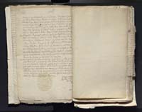 1_335_0_0_313-2_0093