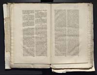 1_335_0_0_313-2_0135