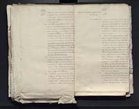 1_335_0_0_313-2_0209