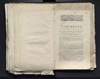 1_335_0_0_313-2_0213