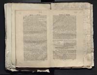 1_335_0_0_313-2_0251