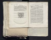 1_335_0_0_313-2_0297