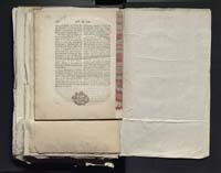 1_335_0_0_313-2_0305