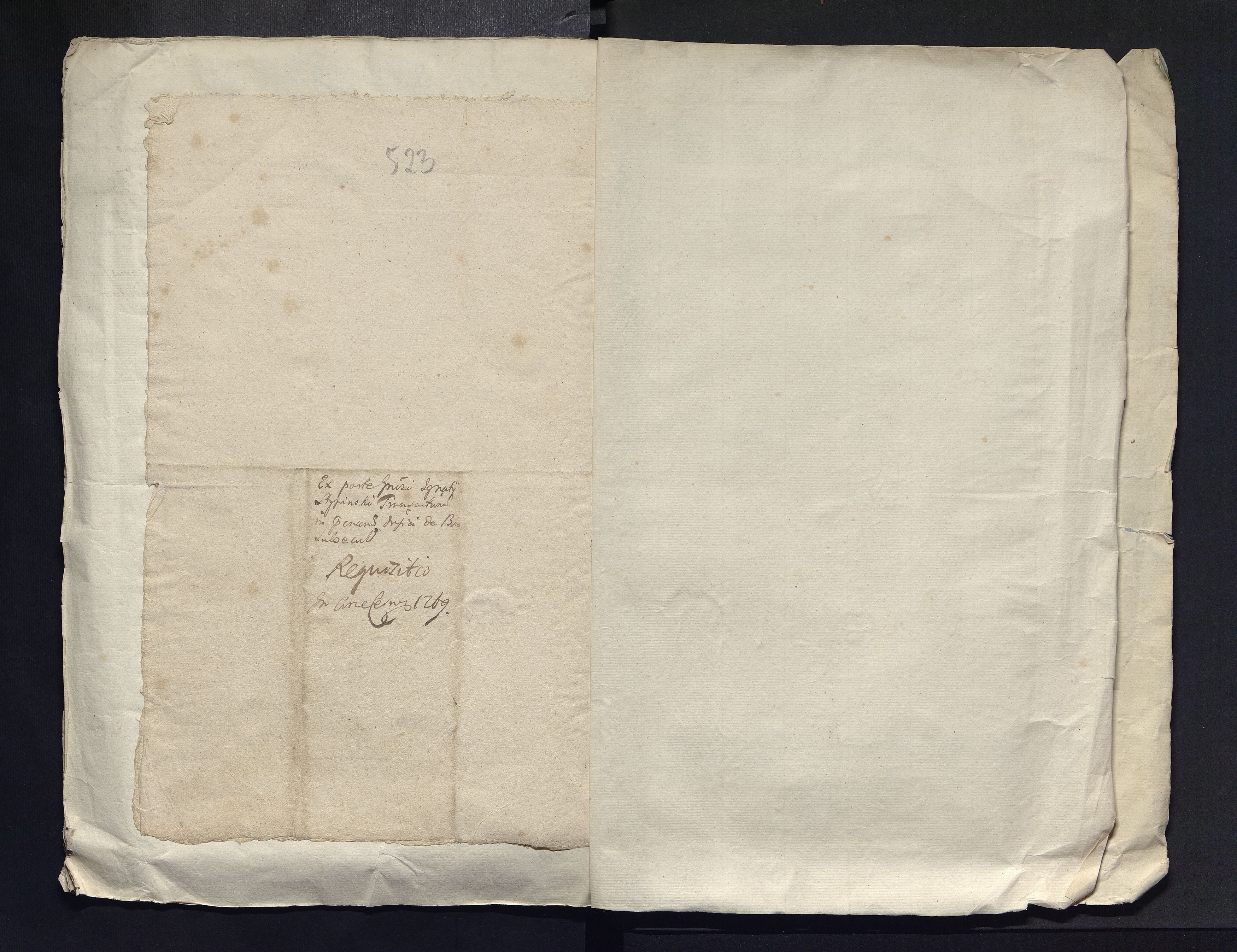 1_335_0_0_313-4_0313