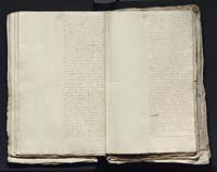 1_335_0_0_313-4_0072