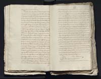 1_335_0_0_313-4_0075