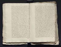 1_335_0_0_313-4_0081