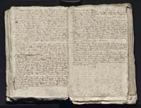 1_335_0_0_313-4_0151