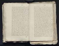 1_335_0_0_313-4_0190