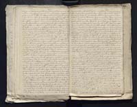 1_335_0_0_313-4_0252