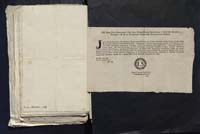 1_335_0_0_313-4_0287