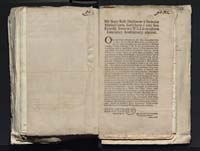 1_335_0_0_313-4_0290