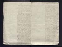 1_335_0_0_313-4_0306