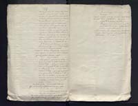 1_335_0_0_313-4_0310