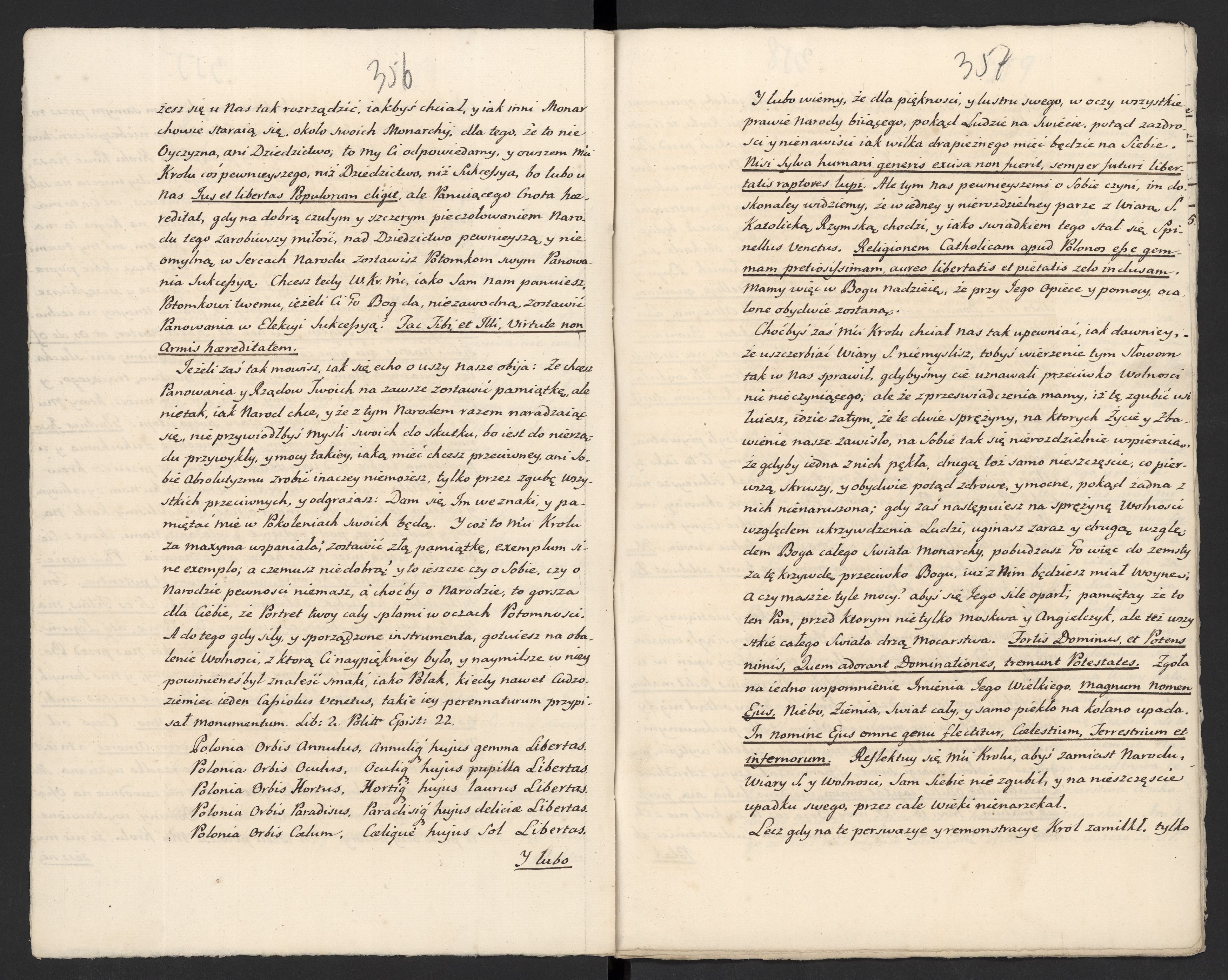 1_335_0_0_313-5_0206