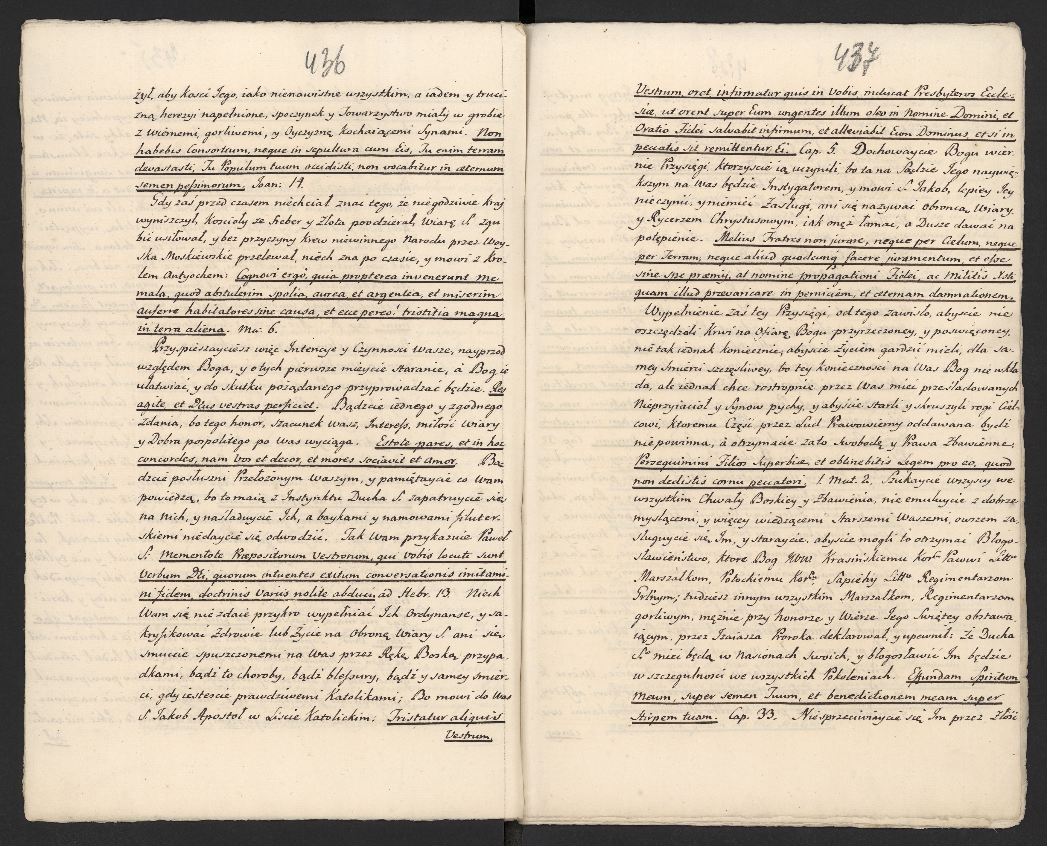 1_335_0_0_313-5_0246