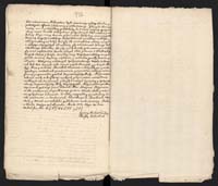 1_335_0_0_313-5_0080