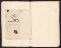 1_335_0_0_313-6_0194