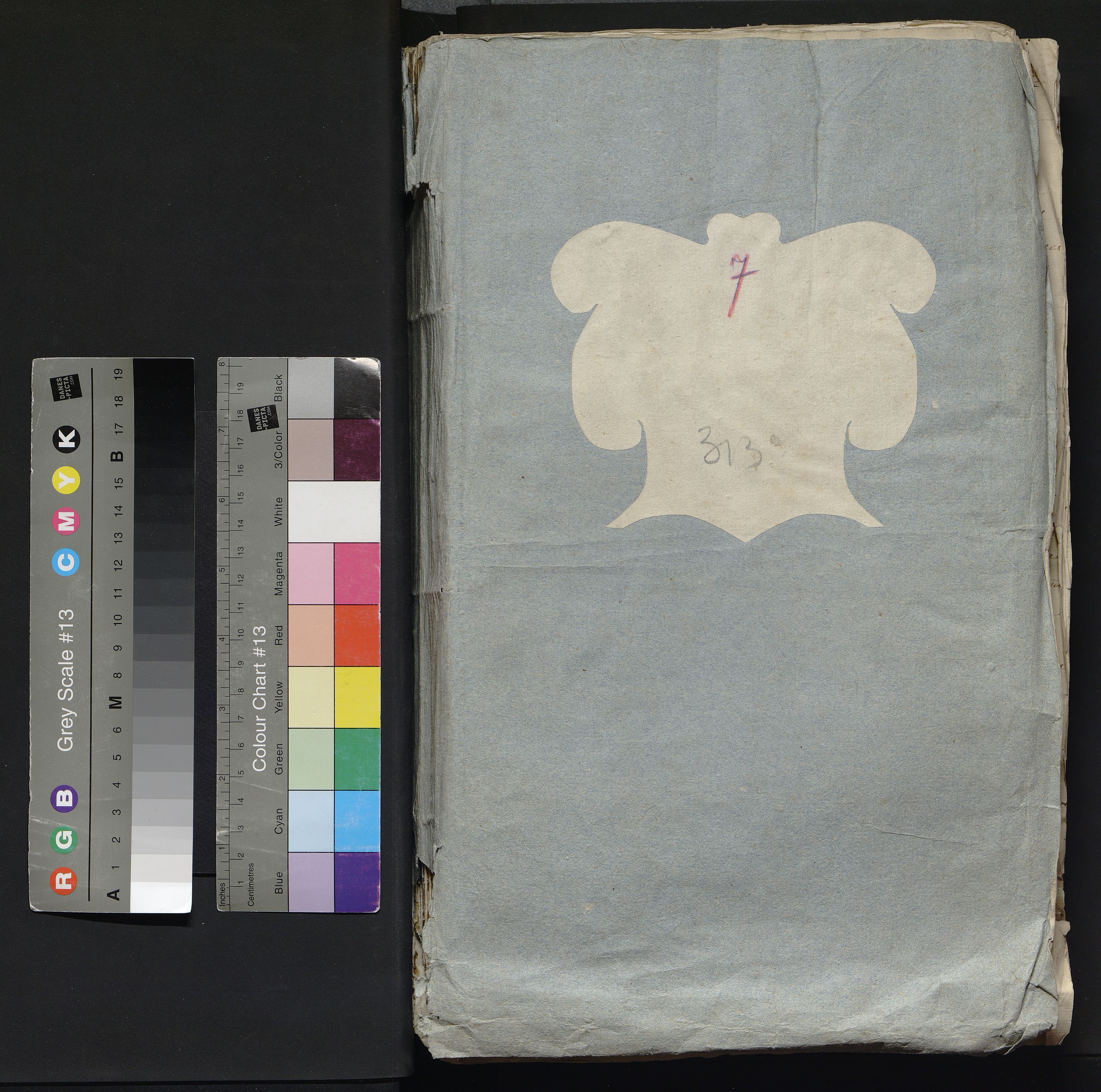 1_335_0_0_313-7_0000_okladka