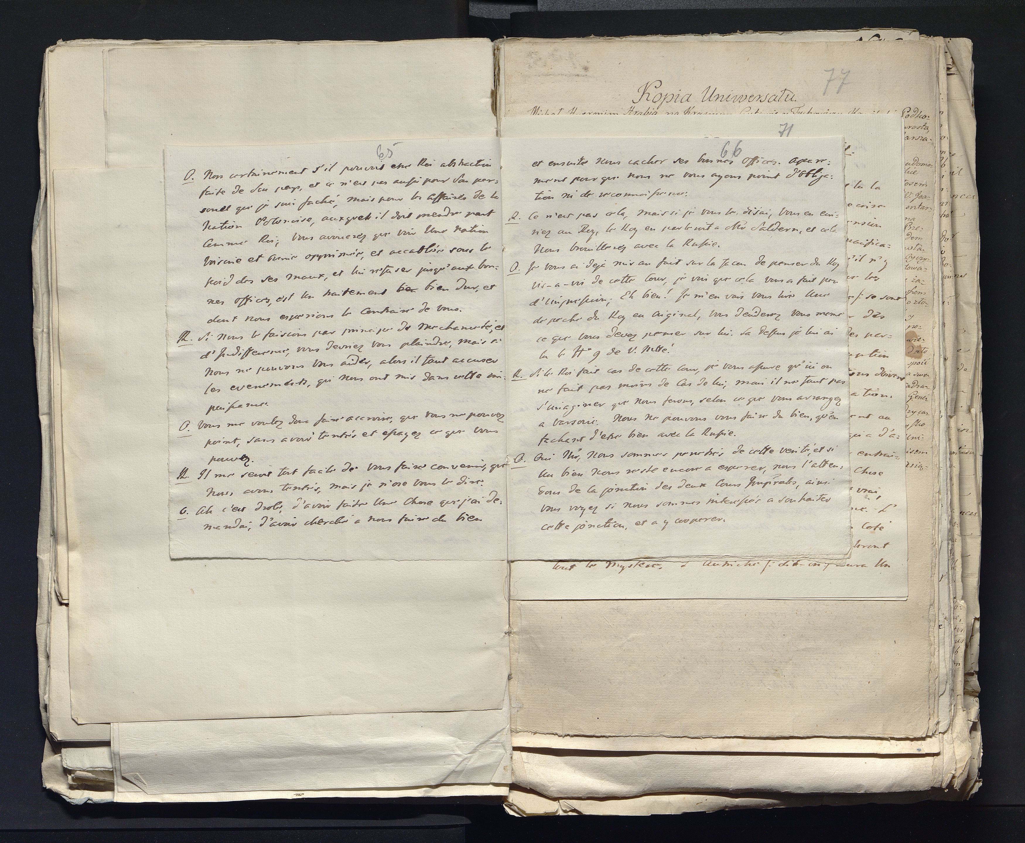 1_335_0_0_313-7_0041