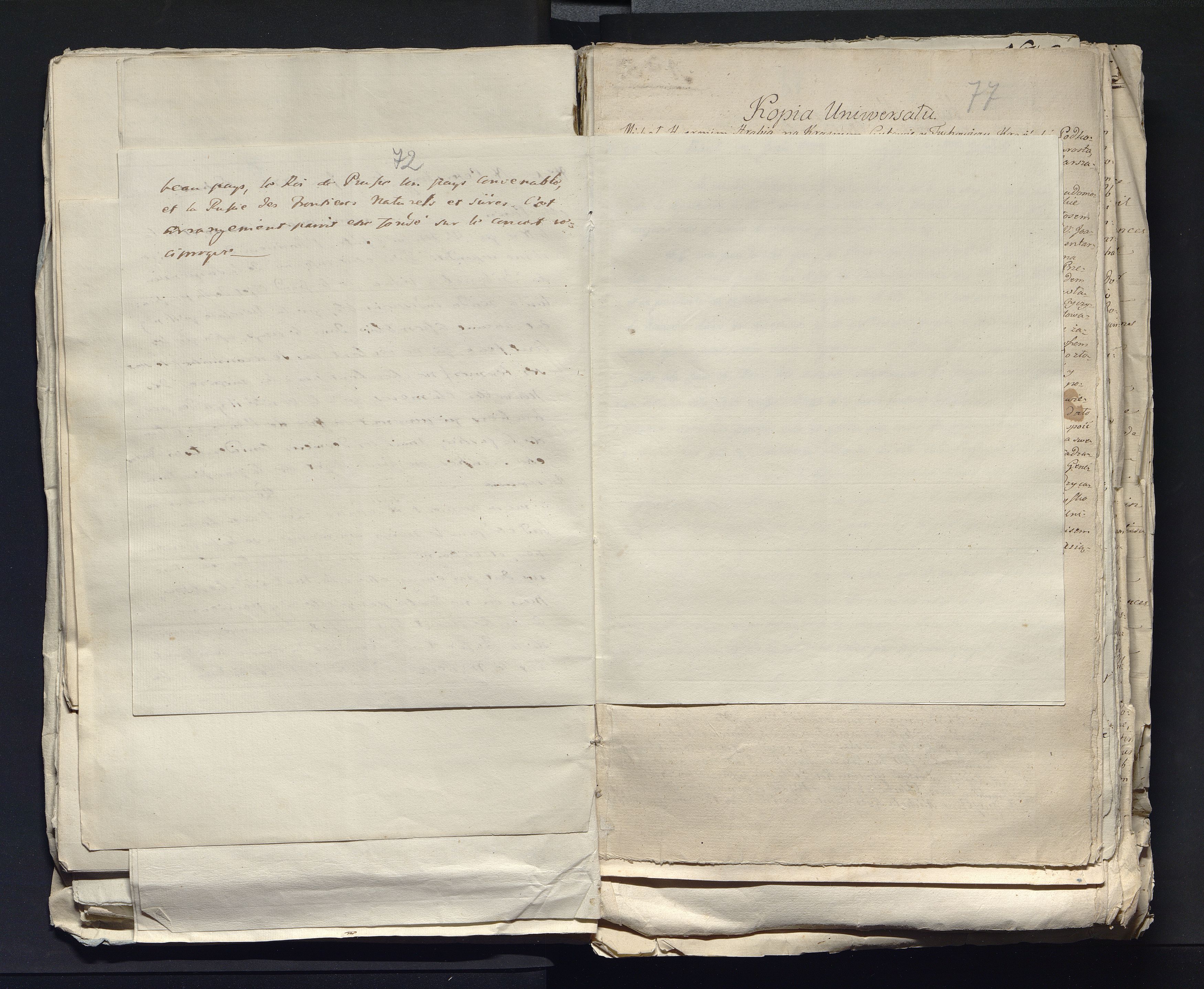 1_335_0_0_313-7_0045