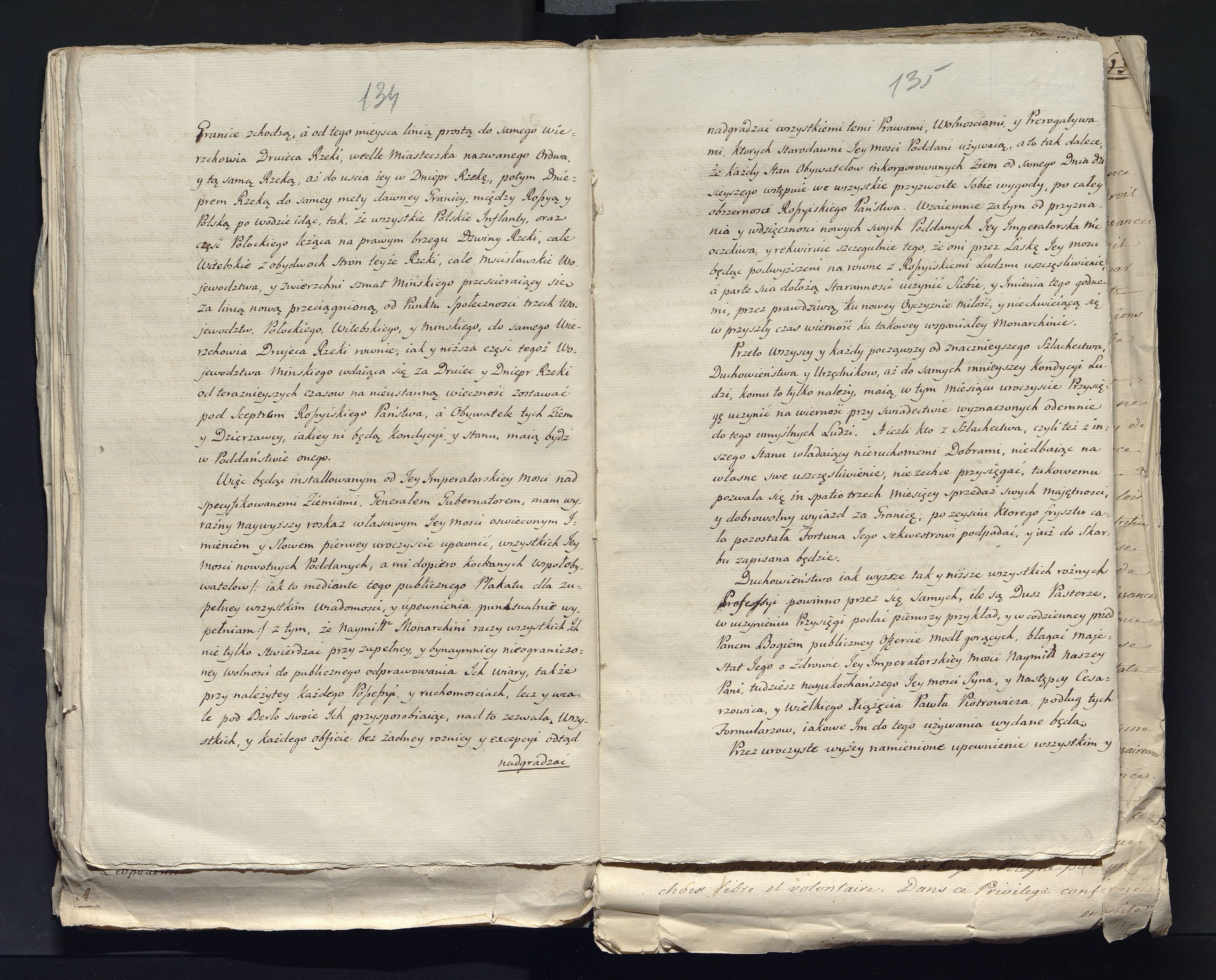 1_335_0_0_313-7_0087