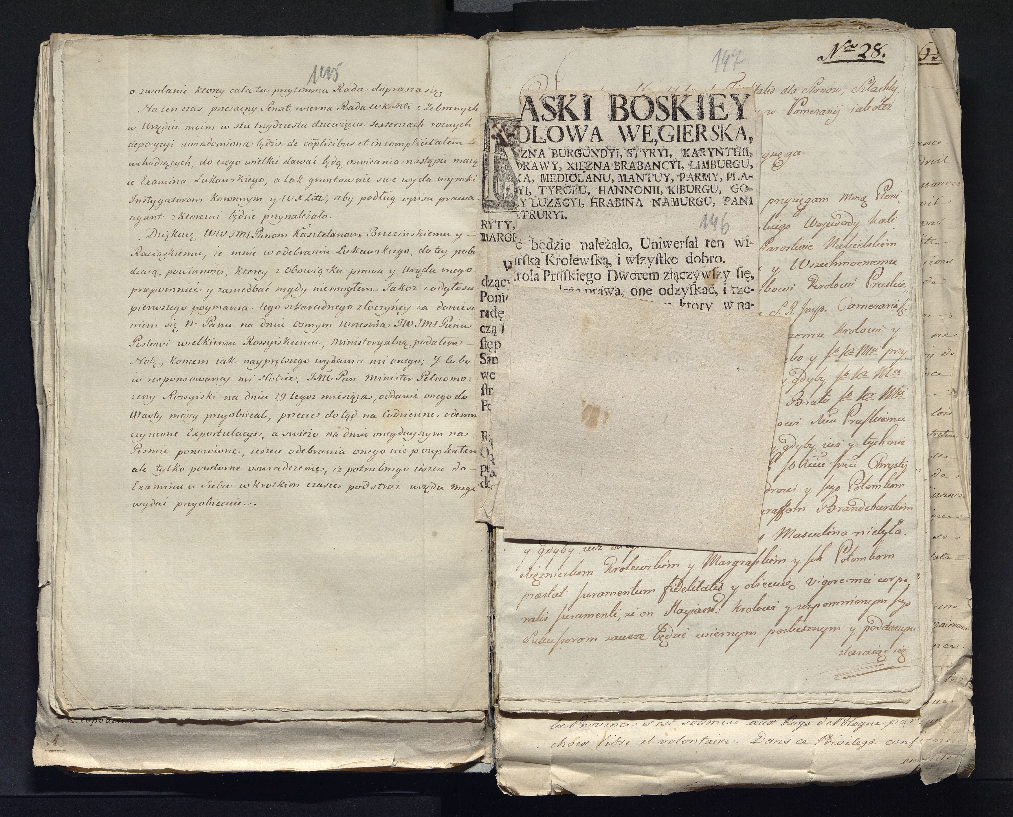 1_335_0_0_313-7_0095