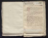 1_335_0_0_313-7_0089