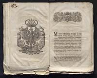 1_335_0_0_313-7_0135