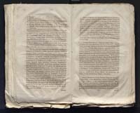 1_335_0_0_313-7_0136