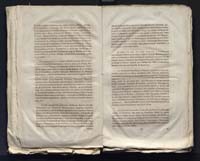 1_335_0_0_313-7_0137