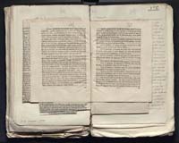 1_335_0_0_313-7_0172