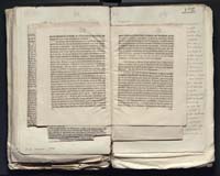 1_335_0_0_313-7_0174